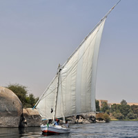 Felucca